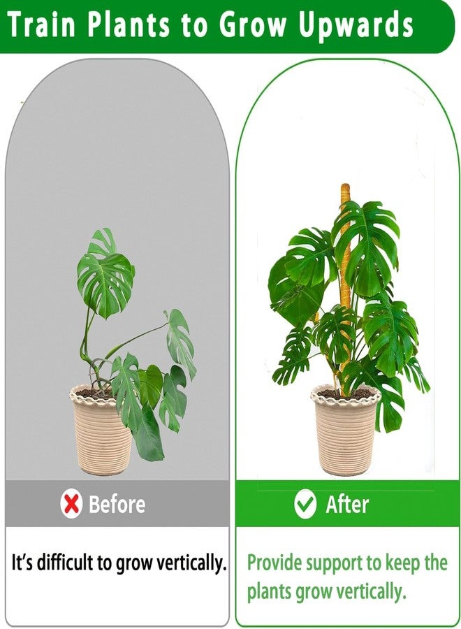 PLANTPOLEX Moss Pole, 2Pack 21IN Monstera Plant Support for Climbing Plants Accessories Indoor, Stackable Moss Poles Plant Support Stakes, Coir Plant Pole Sticks for Potted Plants - Image 5
