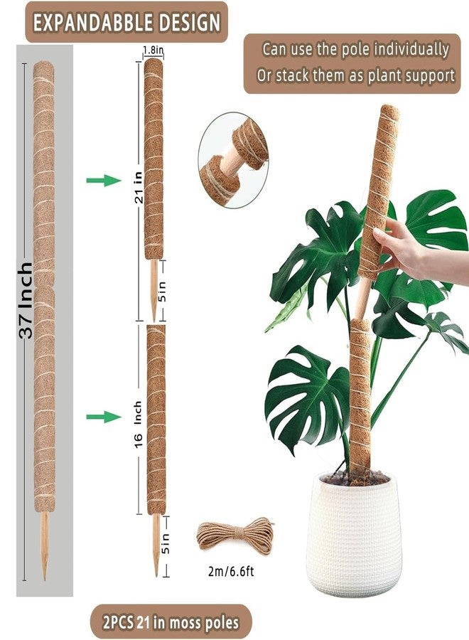 PLANTPOLEX Moss Pole, 2Pack 21IN Monstera Plant Support for Climbing Plants Accessories Indoor, Stackable Moss Poles Plant Support Stakes, Coir Plant Pole Sticks for Potted Plants - Image 2