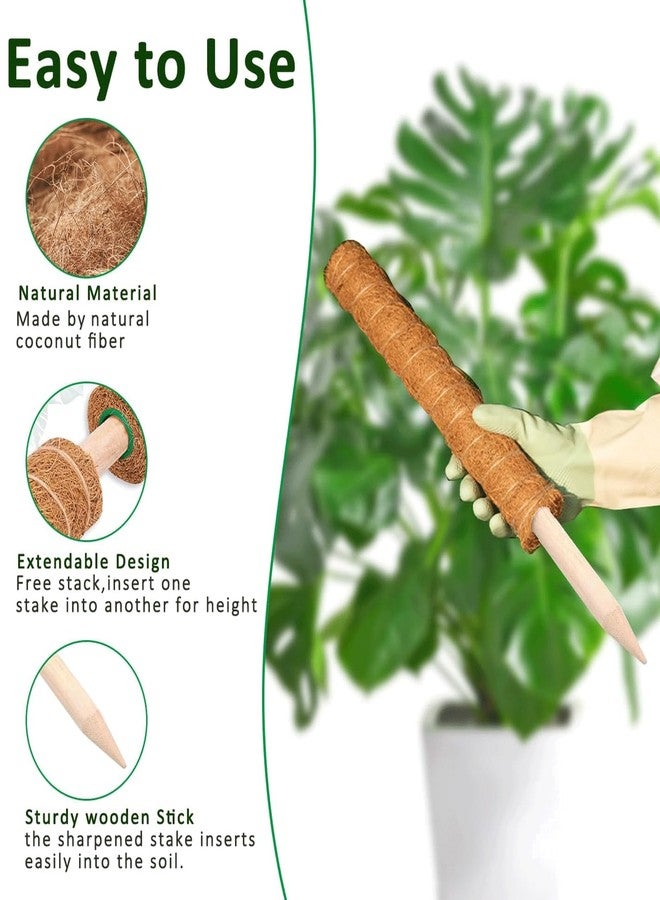 PLANTPOLEX Moss Pole, 2Pack 21IN Monstera Plant Support for Climbing Plants Accessories Indoor, Stackable Moss Poles Plant Support Stakes, Coir Plant Pole Sticks for Potted Plants - Image 4