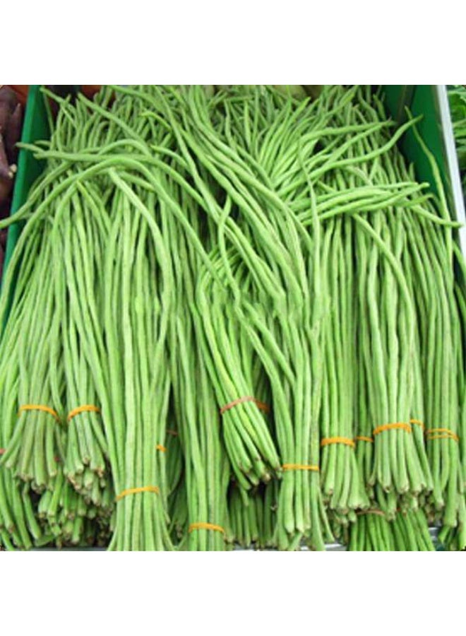 Yard Long Imported Beans Vegetable Seeds