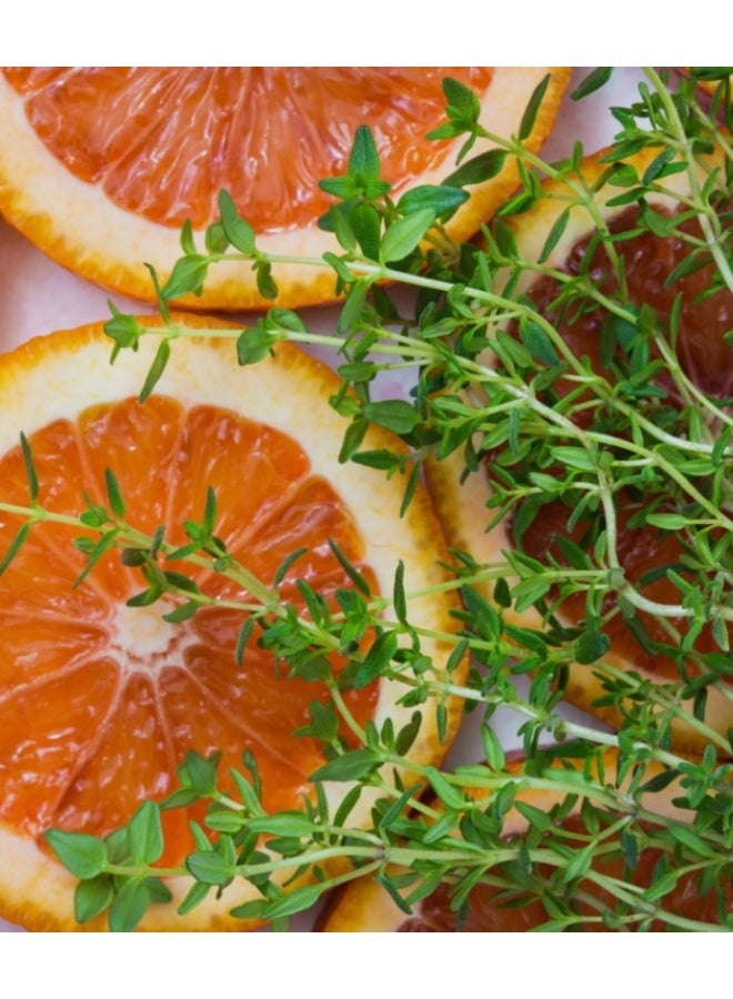 100 PCS Thyme Seeds For Home Garden Planting - Image 3