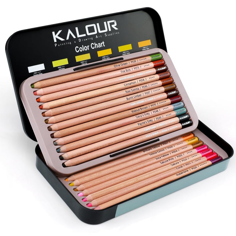 KALOUR Pro Pastel Chalk Colored Pencils24 Colors portrait setColor Charcoal Pencils for Drawing Sketching Coloring ShadingArt Supplies for Adults Artists