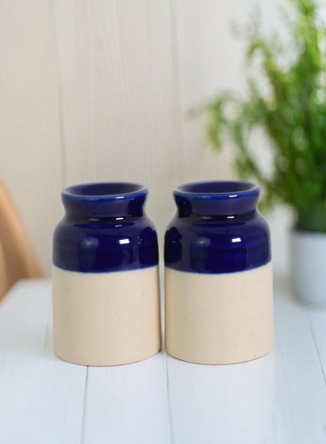Vynora The Decor Lane Elegant Ceramic Salt and Pepper Shakers – White & Blue Duo-60ML - Image 1