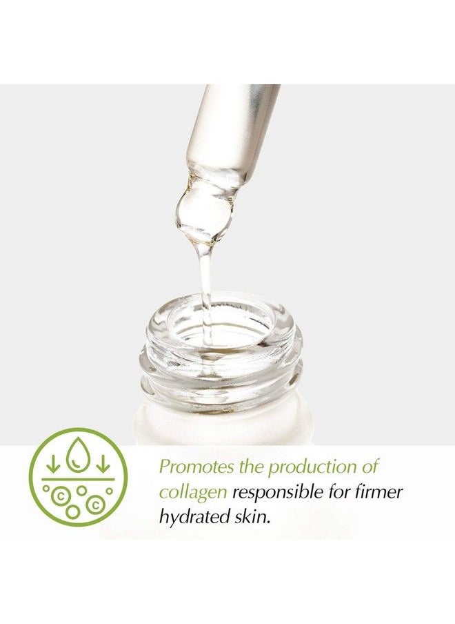 THE POTIONS Peptide Ampoule For Face L Collagen Support Anti Aging Elasticity L Korean Skincare Crueltyfree Hypoallergenic 20Ml  - Image 4