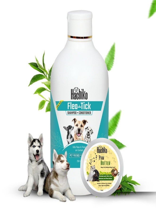 Hachiko Dog Shampoo (250ml)+Paw Butter Moisturizing & Soft Cream(15ml) | Paw Butter Effective to Repair, Soften, Dry, Cracked, Paws & Elbows | Dog Shampoo (265 ml) - Image 1