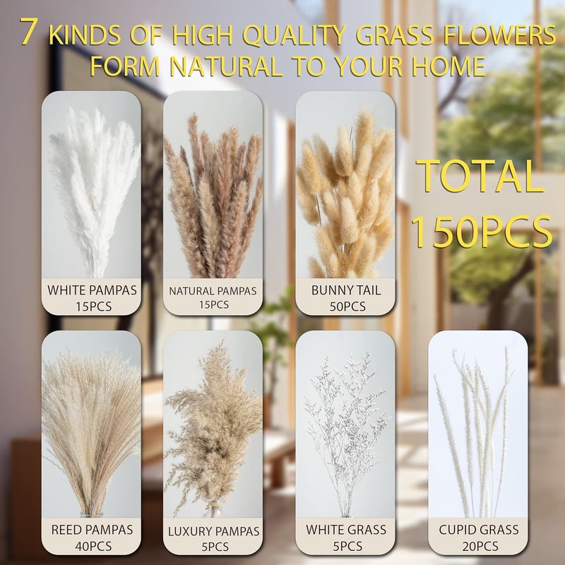 FloraDream 150PCS Natural Pampas Grass Bouquet | Boho Dried Floral Arrangement Centerpiece for Table, Wedding, Rustic Decor (150PCS) - Image 4