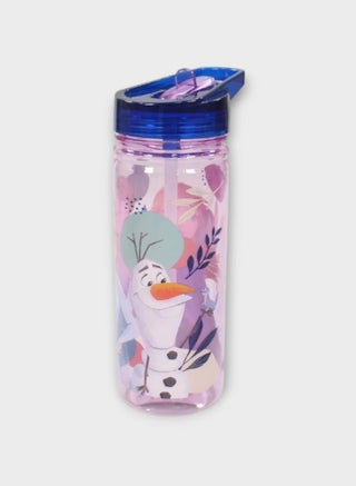 FROZEN LARGE ECOZEN BOTTLE 580 ML - pzsku/ZC245AA74A44A1AE4193EZ/45/1741529883/3e039ccb-703b-4faa-8009-206b9bd24402