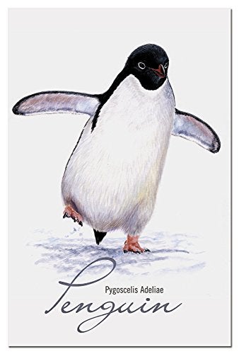 Tree-Free Greetings EcoNotes 12-Count Notecard Set With Envelopes, 4 x 6 Inches, Adelie Penguin Themed Wildlife Art (66717) - Image 5