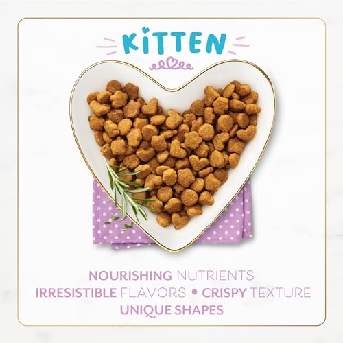 Fancy Feast Purina Fancy Feast Kitten With Savory Chicken and Turkey Kitten Dry Food - 7 lb. Bag - Image 2