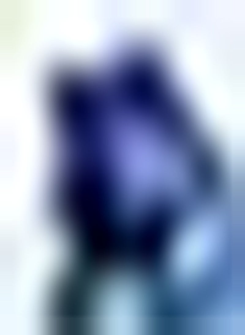 GGOOT 10pcs Blauwe Tulpen Plant Zeldzame Exotische Decoraties Creëren Verschillende Sfeer Ingemaakte Snijbloemen Genieten Van Vreugde Van Oogpcs Snijbloem - Image 2