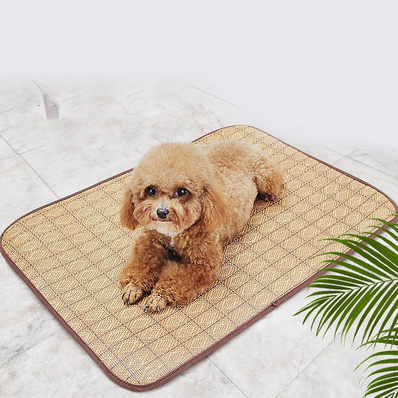 General need oriented design Bed Soft Cushions for Small to Large Cats Bed Cooling Pad Portable Foldable Pet Accessory Cats Breathable Cushion Easy assemble alternatives Indoor outdoor all-purpose fit All space matching look Diverse purchase options Global sizing options General compatible practical design All user friendly build Light sturdy raw material Stackable design Natural tone color options Condition adaptive build Moisture proof Varied global sizing picks General purpose design Simple practical structure All-item matching trendy build Periodic stock arrangement Small apartment fit Integrated local logistics Low maintenance Rack friendly Pre-sale confirmed stock Budget friendly sizing alternatives UV resistant - Image 4