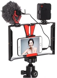 FocusFoto Smartphone Video Rig Camera Cage Mount Holder Stabilizer Handle Grip with BOYA by-MM1 Shotgun Microphone Mic And 49 LED Light Kit for Mobile Phone iPhone Filmmaking Professional Videomaker - pzsku/ZC248B78B42B5031BC42CZ/45/_/1717535516/78540f09-514f-4e95-98ec-b18049f8a3ed