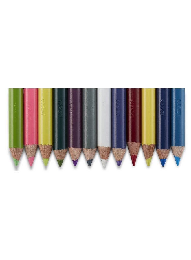 Prismacolor Scholar Colored Pencils Adult Coloring 60 Pack - Image 5