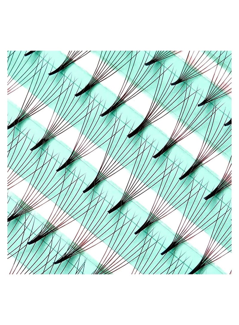 IOLITE Pre made lash fan 10D Fans Eyelash Extensions Lashes D Curl 0.05T, 8-15mm Lash Extensions - Image 2