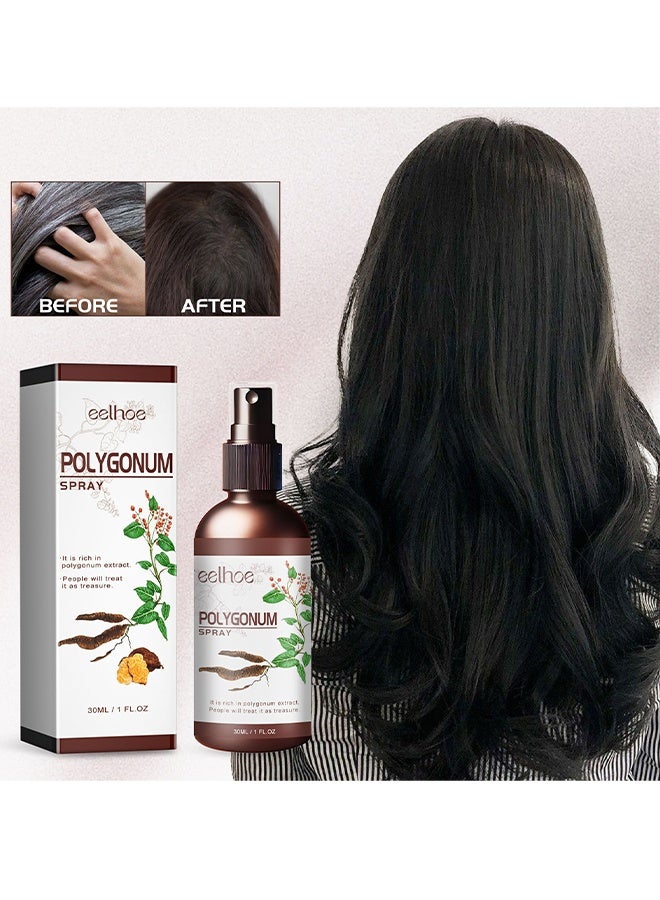 EELHOE Polygonum Spray - Herbal Gray Hair Reverse Spray, Grey Hair Smoothing  Darkening, Polygonum multiflorum Hair Conditioner Serum for Growth, For Women  Men Hair Thinning and Loss, Boost Natural Black Color Mist - Image 1