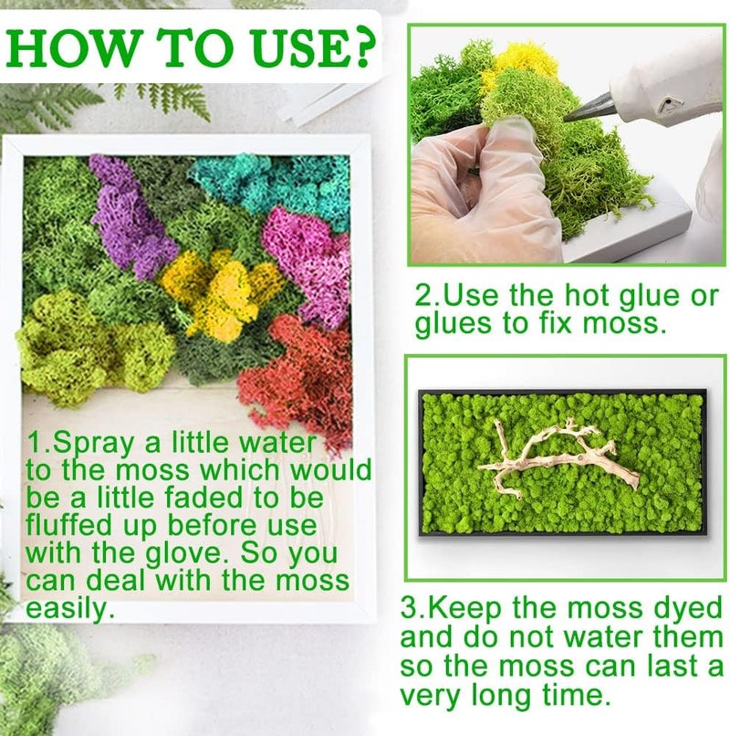 TCYPUHL Preserved Moss for Crafts Blue Reindeer Moss for Potted Plants, Craft Decorative Moss Decor for Wall Art, Dried Moss(1.1 lb, Blue) - Image 2