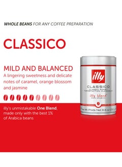 Illy Illy Caffe Coffee Coffee - Whole Bean - Medium Roast - 8.8 Oz - Case Of 6  - Image 2