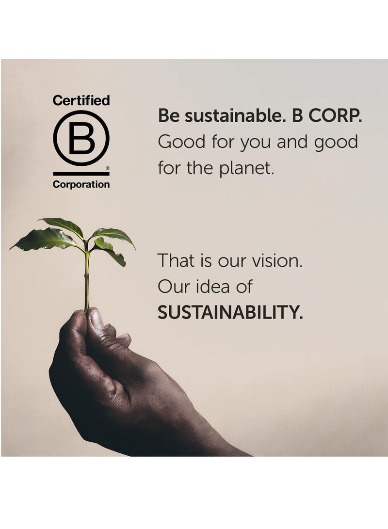 Illy Classico Coffee Beans - Medium Roast - 250 gr- Pack of 6 Cans - Image 5