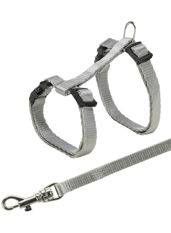 تريكسي حزام للقطط الصغيرة مع مقود - متنوع، صغير، 500 جرام - Image 1