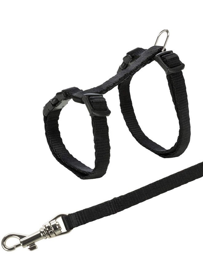 تريكسي حزام للقطط الصغيرة مع مقود - متنوع، صغير، 500 جرام - Image 2