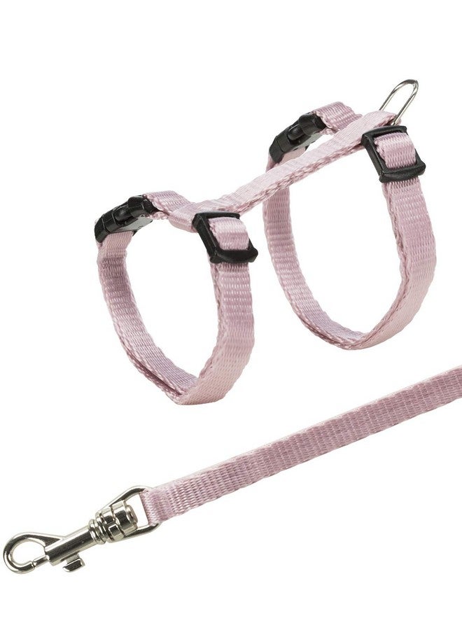 تريكسي حزام للقطط الصغيرة مع مقود - متنوع، صغير، 500 جرام - Image 4