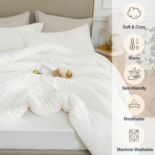 Quataly Beige Oversized Queen Comforter Set - 3 Pieces Seersucker Lightweight Bedding Comforter Sets (1 Soft Fluffy Comforter & 2 Pillowcases) - All Seasons Cozy Farmhouse Bed Sets for Women Men - Image 4