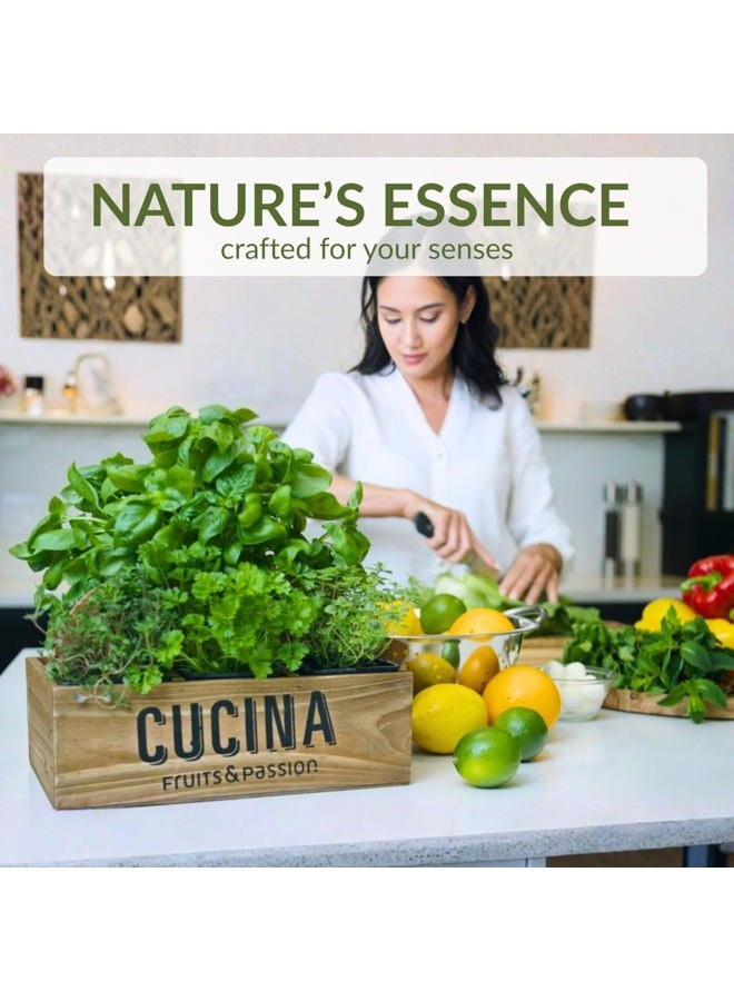 Cucina Fruits and Passion Cucina Cori er Olive Tree 33.8 oz Purifying H Wash Refill - Image 3