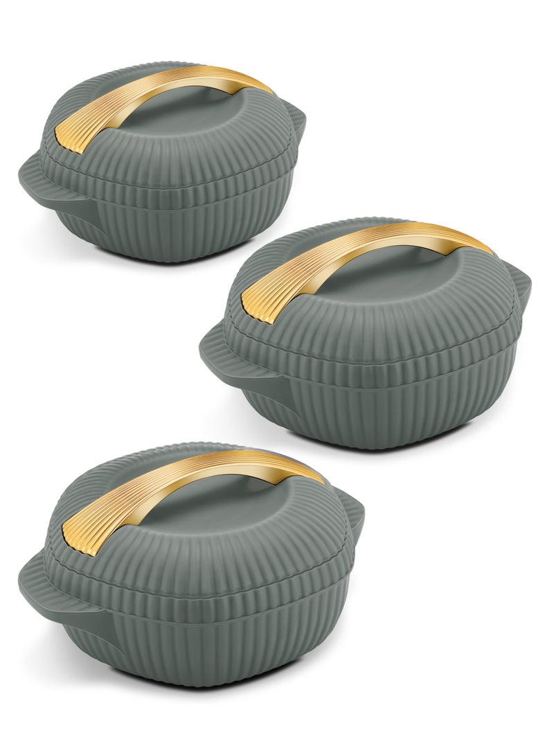 بادريق طقم حافظات طعام من 3 قطع داخلية من الستانلس ستيل (500 مل ، 1000 مل ، 1500 مل) رمادي غامق/ذهبي - Image 1