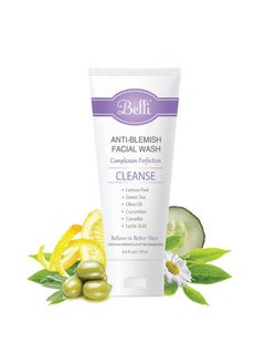 Skincare Antiblemish Facial Wash Gel Cleanser Anti Acne For Sensitive Skin Pregnancy Safe Natural Extract Face Wash For All Skin Types 6.5 Ounce