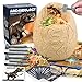 Woumserta Jumbo Dino Egg Dig Kit Dinosaur Toys for Kids 57 Dinosaur Eggs with 12 Dinosaurs inside Dino Toy Outdoor Gift with Dinosaur Card Dinosaur Egg Excavation for Kids Boys Girls Gift 6 and up year old - Image 4