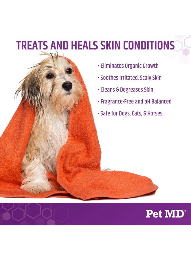 بيت إم دي شامبو بيت إم دي ميكوسيب-سي إكس الموضعي للكلاب والقطط والخيول مع ميكونازول - ١٢ أونصة - Image 4