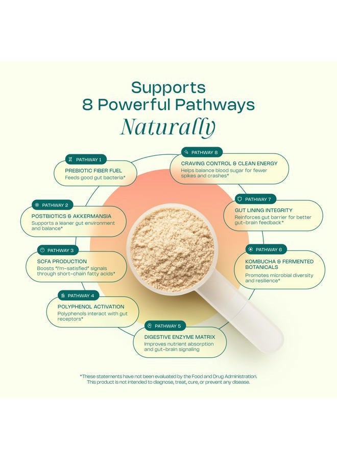 LevelUp Gut Superfood, Fiber Supplement for Leaky Gut, Digestive Problems, Stomach Discomfort, Prebiotic Probiotic Postbiotic XOS Supplement, Gluten-Free, No Additives, Total Gut Health (Unflavored) - Image 2