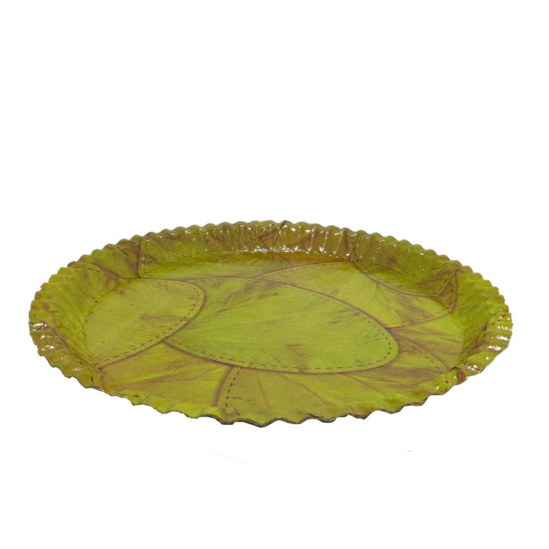 RED WIND 100 Biodegradable_Eco Friendly_12 Inch Paper Dinner Plates_Pack of 25_Natural Paper Plates_RW3 - Image 3