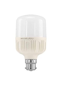Olsenmark Olsenmark - OMESL2690 LED Energy Saving Light, 13W - Plastic coated aluminum + PC cover - Life time up to 20000 hours - Power: 265-165V, 60-50Hz  - Image 1