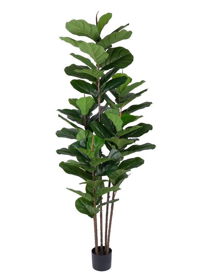 Generic Faux Fiddle Leaf Fig Tree 180 cm - Artificial Ficus Tree with Tall Artificial Plants 69 Fiddle Leaves Greenery - Lifelike Fake Tree for Home Decor Living Room Indoor Outdoor  - Image 1
