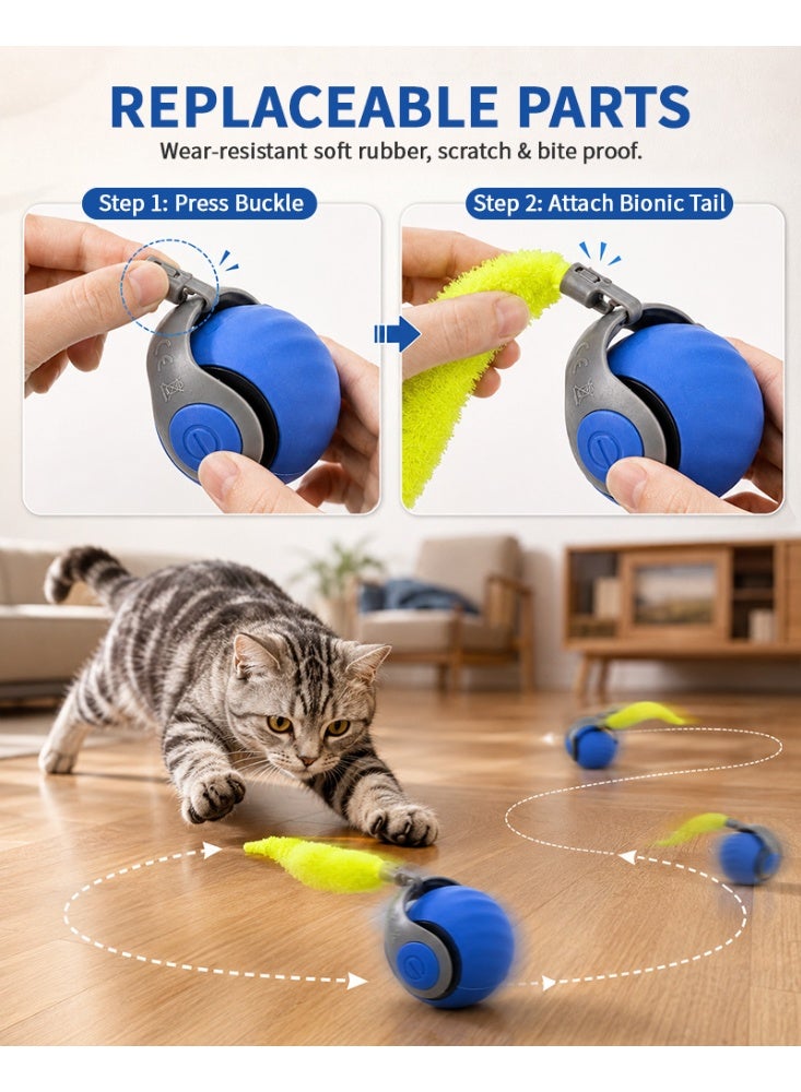 Automatic Cat Ball - Image 4