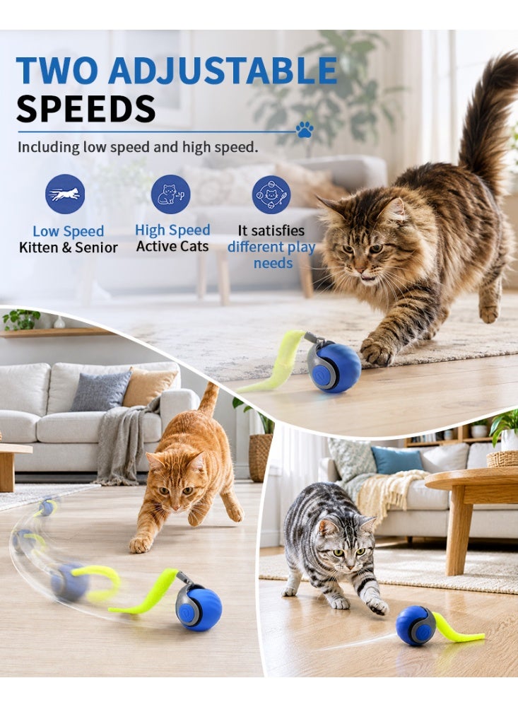 Automatic Cat Ball - Image 2