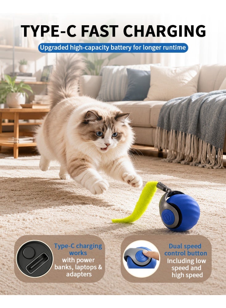 Automatic Cat Ball - Image 3