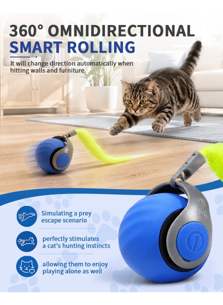 Automatic Cat Ball - Image 1