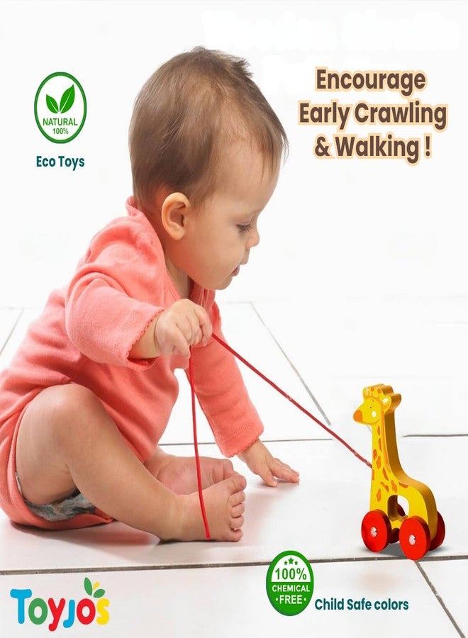 TOYJOS Wooden Pull Along Giraffe Toy for Kids | Non-Toxic Paints Smooth Finish | Walking Balance Coordination Early Learning Baby Toy with Pull String Moving Wheels | Child-Safe (12 Months+) - Image 3
