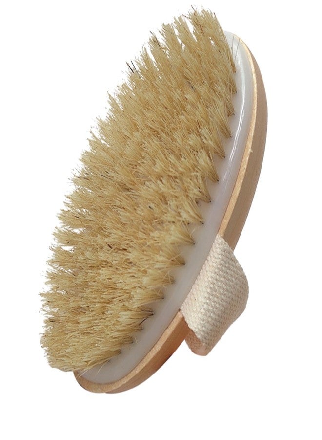 Saycker Dry Brushing Body Brush, Exfoliating Brush Body, Soft Natural Bristle for Drying Skin, Shower Brushes Wet and Dry Brushing, Scrubber for Exquisite Skin,Reduce Acne and Cellulite - Image 1