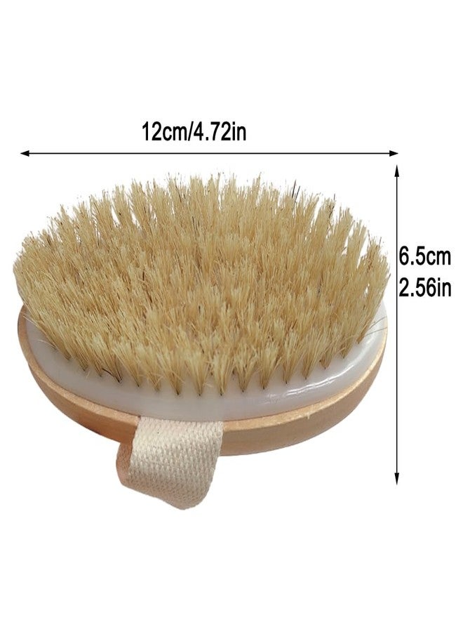 Saycker Dry Brushing Body Brush, Exfoliating Brush Body, Soft Natural Bristle for Drying Skin, Shower Brushes Wet and Dry Brushing, Scrubber for Exquisite Skin,Reduce Acne and Cellulite - Image 4