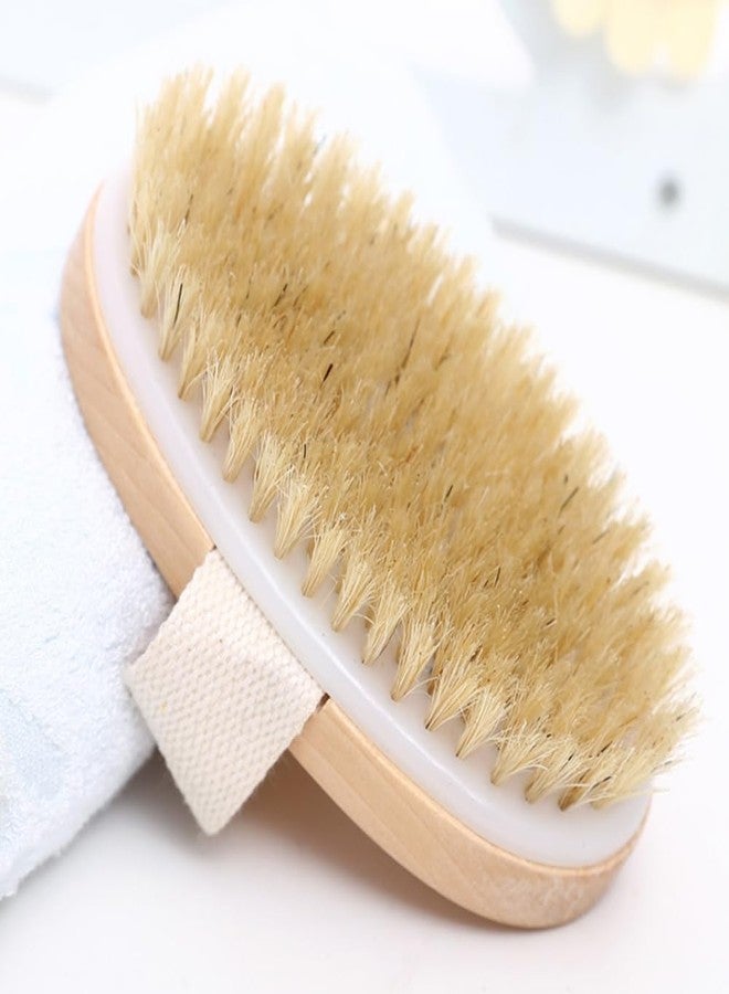 Saycker Dry Brushing Body Brush, Exfoliating Brush Body, Soft Natural Bristle for Drying Skin, Shower Brushes Wet and Dry Brushing, Scrubber for Exquisite Skin,Reduce Acne and Cellulite - Image 5