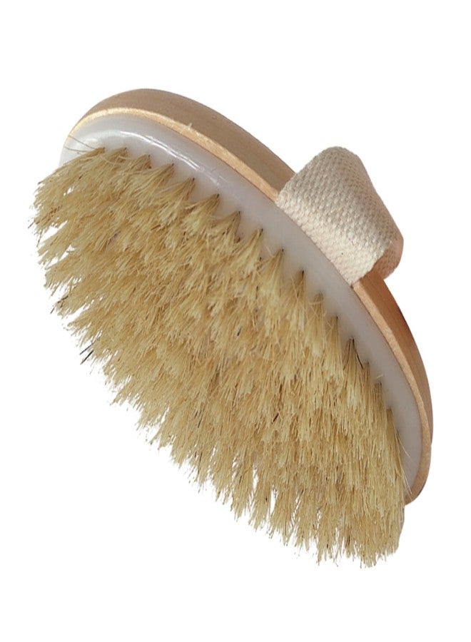 Saycker Dry Brushing Body Brush, Exfoliating Brush Body, Soft Natural Bristle for Drying Skin, Shower Brushes Wet and Dry Brushing, Scrubber for Exquisite Skin,Reduce Acne and Cellulite - Image 2
