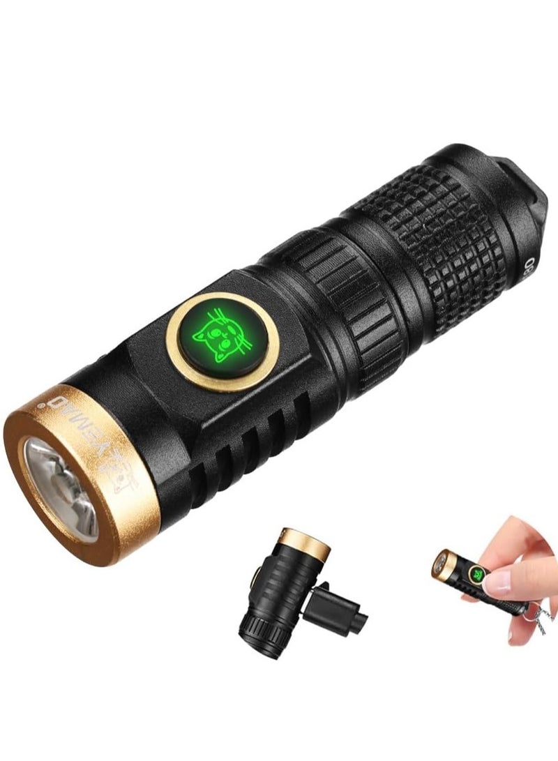 BlueFire 800 Lumens Rechargeable EDC Flashlight – Ultra-Bright Mini Keychain Flashlight with Type-C Charging, 5 Light Modes, IP55 Waterproof, 492ft Beam, Aluminum Alloy Body – Perfect for Camping, Hiking, Dog Walking & Emergency Use - Image 1