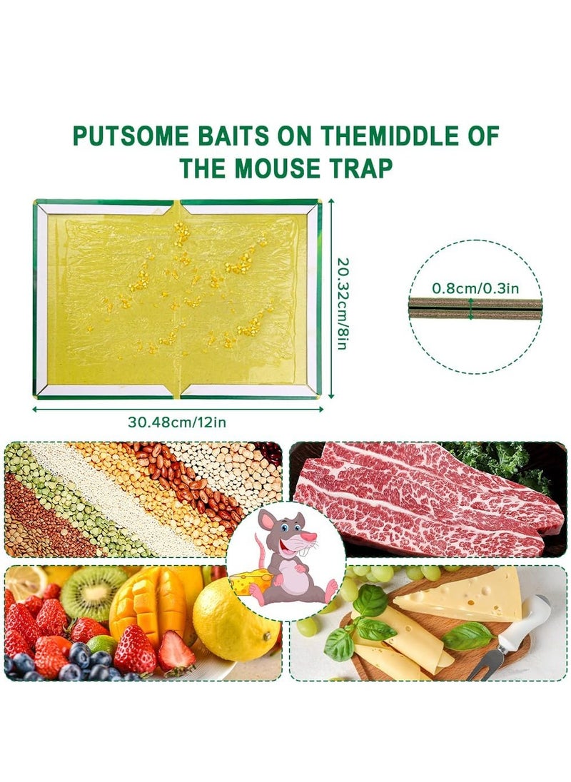 5-Pack Mouse Rat Glue Trap, Strongly Adhesive Sticky Glue Traps for Mice, Mouse Sticky Traps - pzsku/ZC25A2A2C4B15F6BD1D8EZ/45/_/1714120956/5954197b-9b10-4e34-adc2-5c52e0eb1394