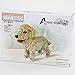 Bits and Pieces Dog 3D Block Puzzle Dog Breed Building Blocks Construction Model Set Golden Retriever - Image 4