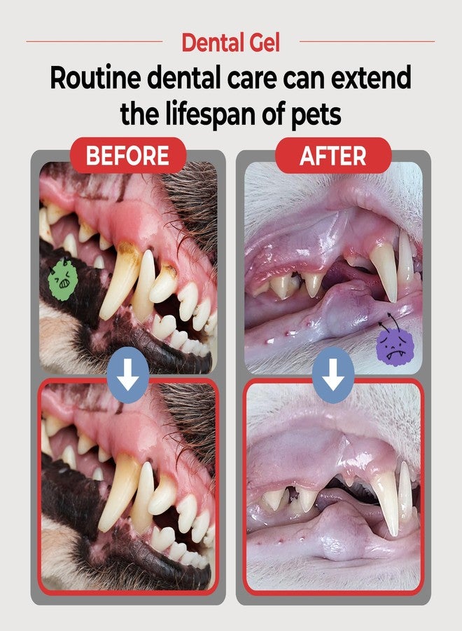 JAYU PET جل أسنان جايو للحيوانات الأليفة - معجون أسنان للكلاب والقطط | يزيل البلاك والجير | ينظف الأسنان وينعش النفس | عناية بأسنان الجراء والقطط الصغيرة معتمدة من الأطباء البيطريين | 80 غرام (2.82 أونصة) - Image 2