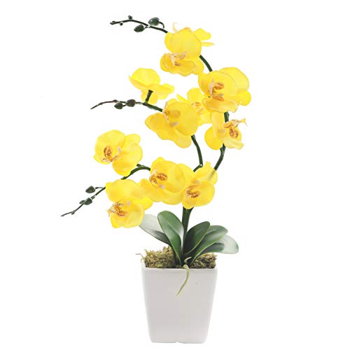 YSZL 15" Tall Artificial Silk Phalaenopsis Orchid Flower Plant Pot Arrangements (Yellow) - Image 1