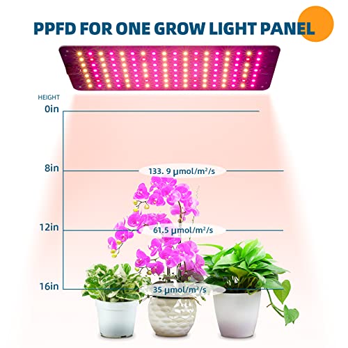 Barrina Grow Lights for Indoor Plants, 20W (2 x 10W) Full Spectrum Ultra-Thin Grow Light Panel with 3/6/12H Auto On/Off Timer for Hydroponics, Seedlings, Succulents, Veg, Flowers & More, 2-Pack - Image 5